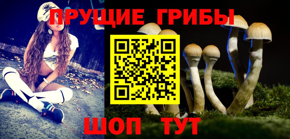 Галлюциногенные грибы Psilocybe  Вход с VPN  Симферополь 