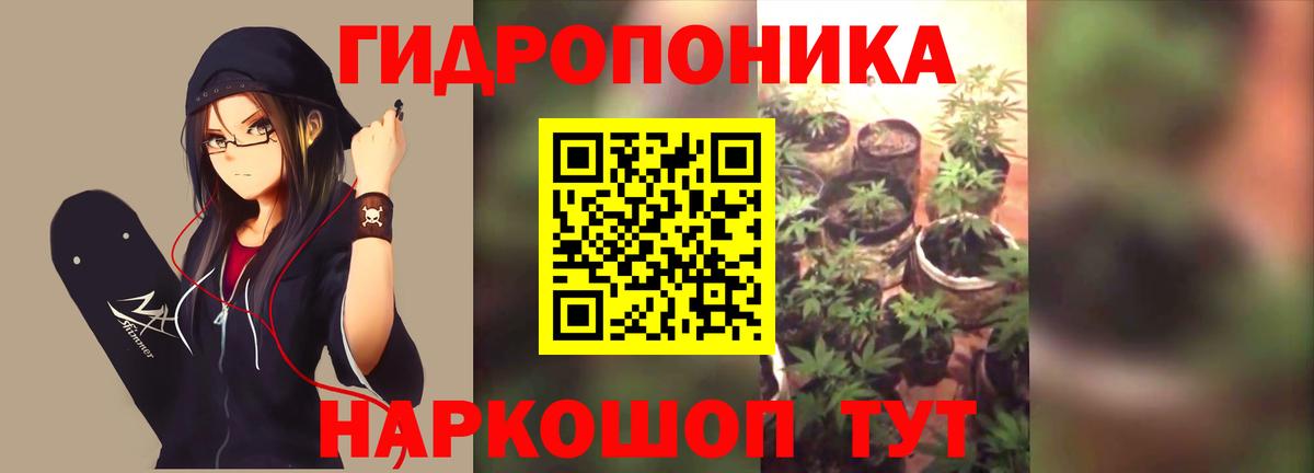 Бошки марихуана гибрид  Каннабис сатива  Каннабис сатива  Симферополь  Вход с VPN 